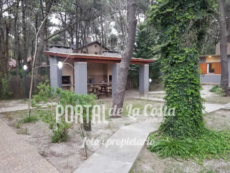 Amapolas del Este miniatura 9