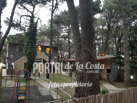 Amapolas del Este miniatura 10