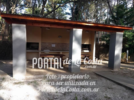 Amapolas del Este miniatura 11