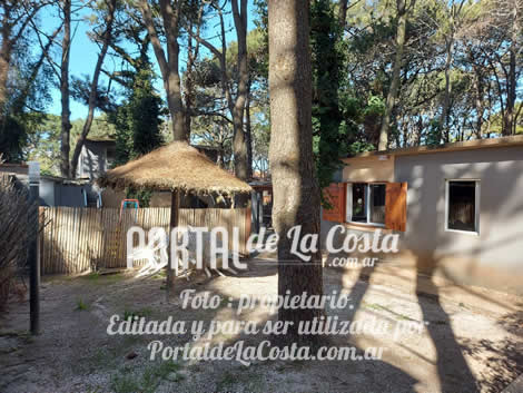 Amapolas del Este miniatura 12