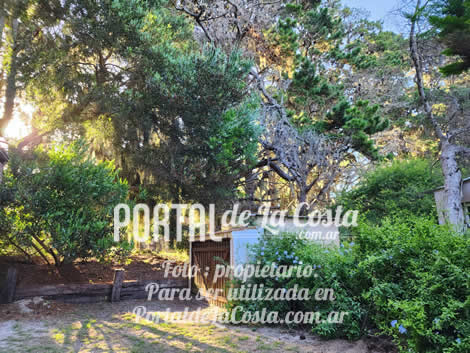 Duplex para 6 personas miniatura 9