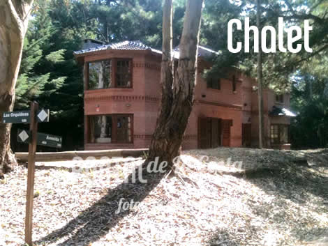 Duplex y Chalet foto 1