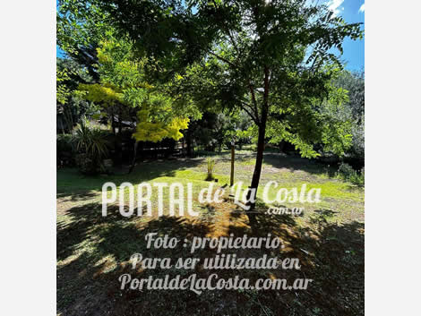 Triplex en alquiler miniatura 11